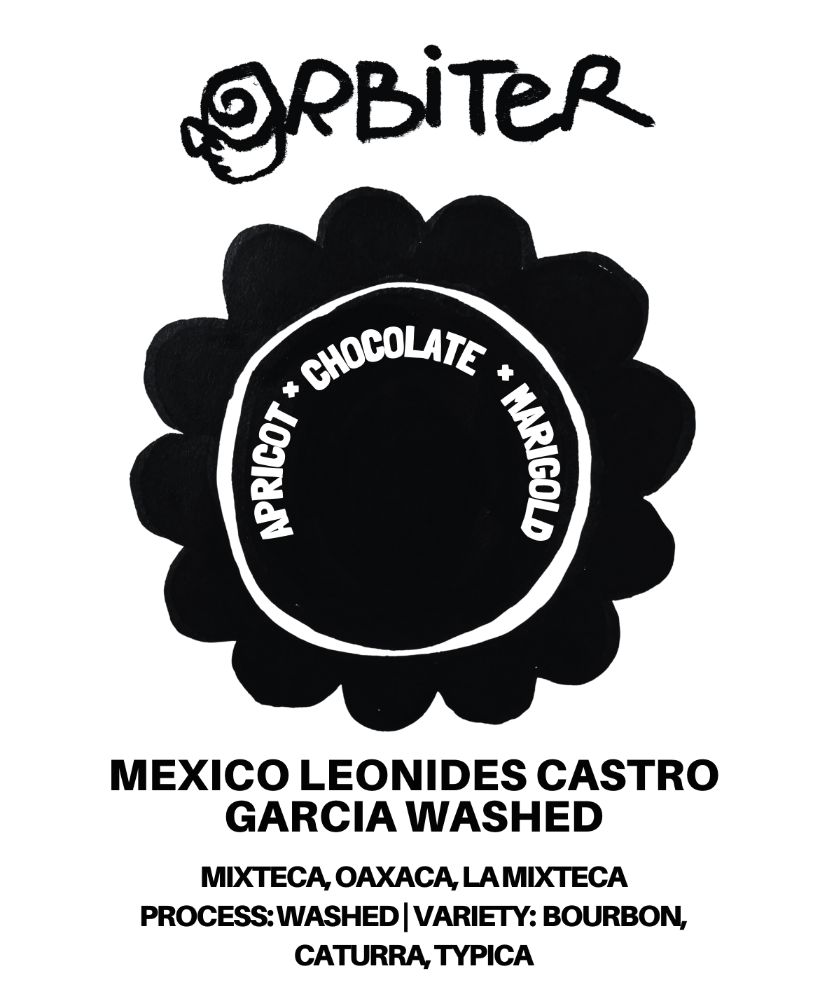 Mexico - Leonides Castro Garcia Washed
