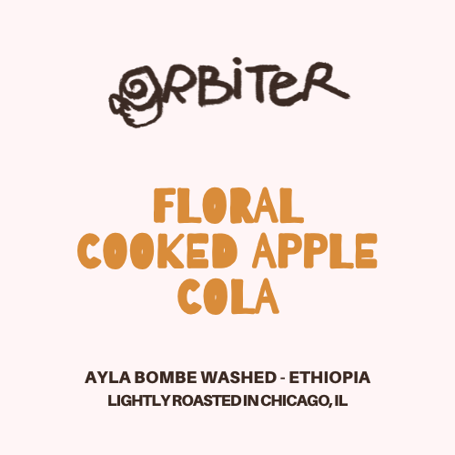 Ayla Bombe Washed