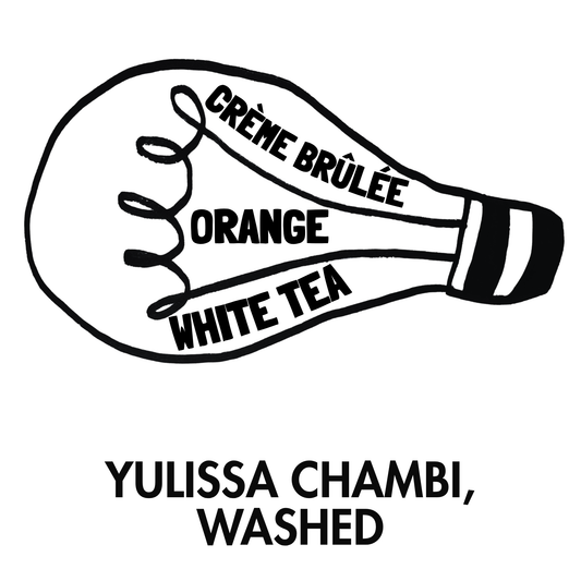 Yulissa Chambi Washed