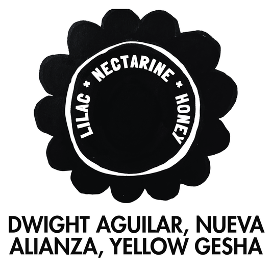 Nueva Alianza Yellow Gesha