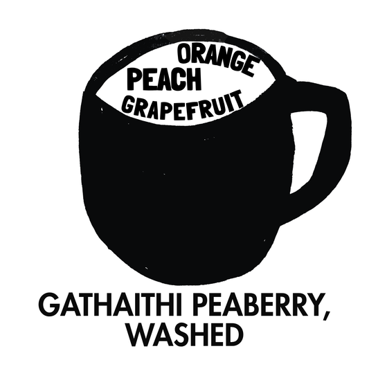 Gathaithi Peaberry