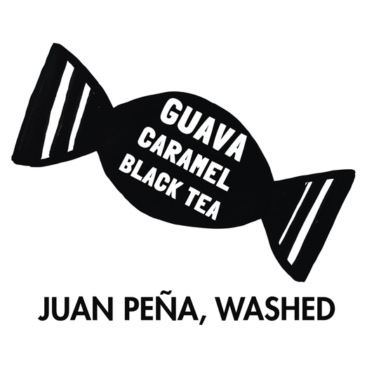 Juan Peña Ecuador Washed