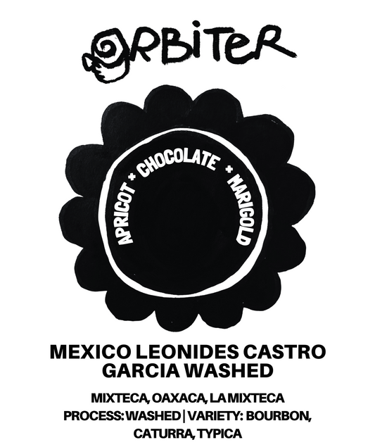 Mexico - Leonides Castro Garcia Washed