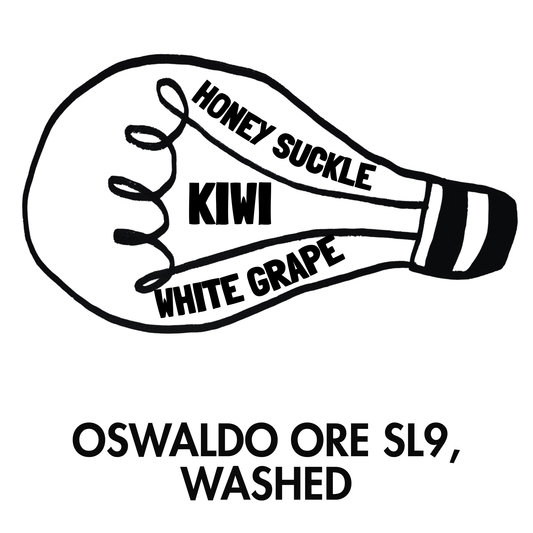 Oswaldo Ore SL9