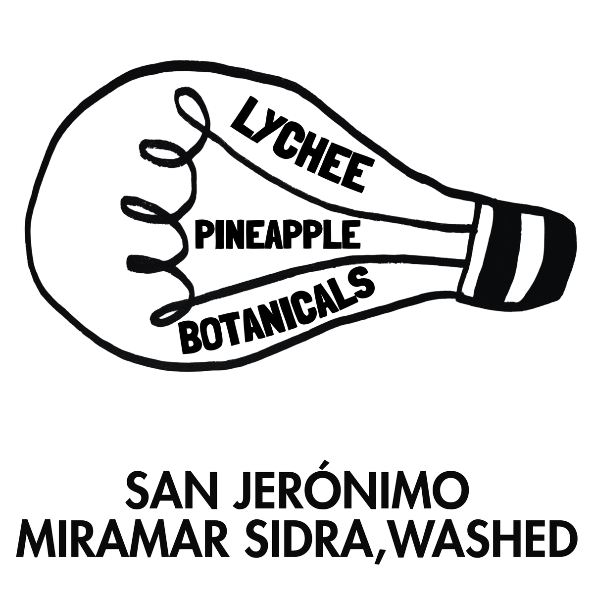 San Jerónimo Miramar Sidra Washed