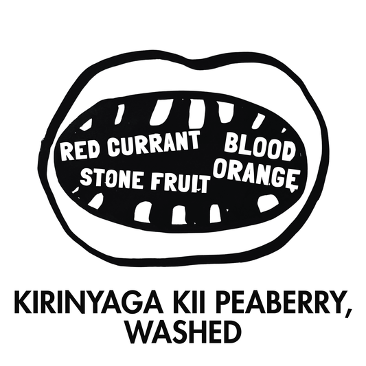 Kirinyaga Kii Peaberry Washed