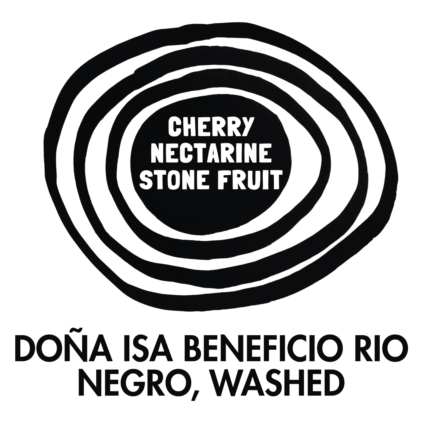 Doña Isa Beneficio Rio Negro Washed