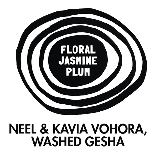 Neel & Kavia Vohort Washed Gesha